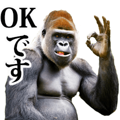 リアル☆ゴリラ