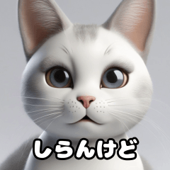 関西弁な猫たち