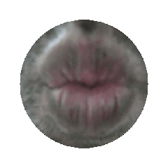 動画もよかよね?