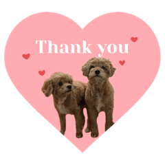 ルイロイ第一弾