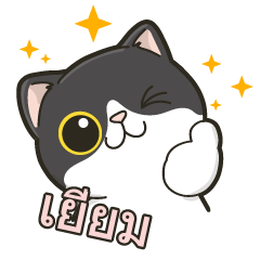 Mochi the cat - Thai