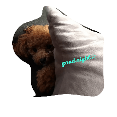 わがままワンコの日常