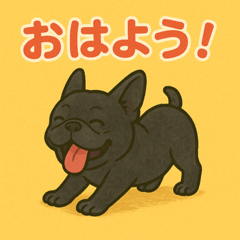 可愛いフレンチブルドッグ！