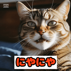 ねこのきもち日記