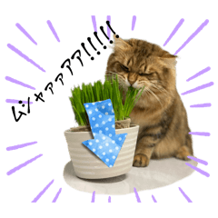 愉快な猫達〜森の一家〜