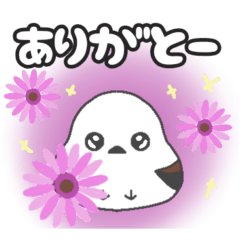 コロコロしまえなが「秋」