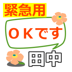 取り急ぎ【田中,たなか】親孝行にオススメ