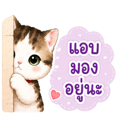 Lucky Meow | Chubby Kawaii Cat Stickers