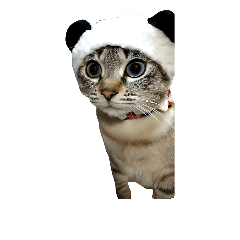 シャムトラのドラミちゃん2