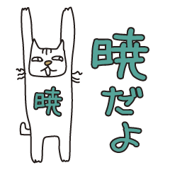 ばんざい猫 暁用