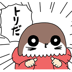 ワカルトリのゆる〜い日常