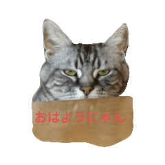 おいらは のあくん