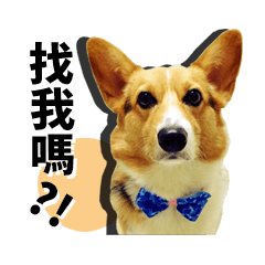 ウイスキーがたむろする