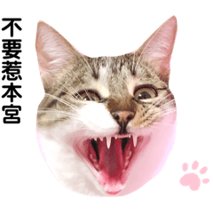 Monica_20190422195910