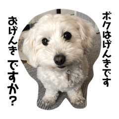 マルックス のトラくん。