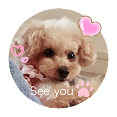 愛しのBelleちゃん VOL.3