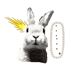 うちの子がすみません。