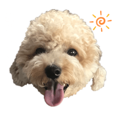 サランちゃんDiary