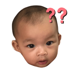 FinFin_20190813190604