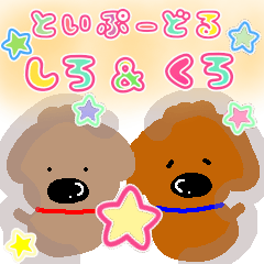 トイプードル シロ&クロ【日常使い】