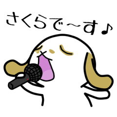 たれみみウサギのさくら