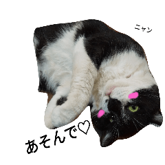 ほのぼのクロちゃん語録