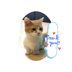 うなじろうのスタンプ(^^)