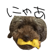 ぼくわかんない