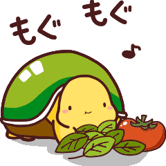 【動く】愛されカメさん