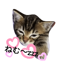 モコあ〜んどモカ