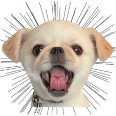 オレ、おもちくん ５.５