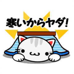 元気なにゃんこ達♪