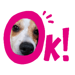 ハル君デコスタンプ