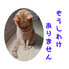 ふうちゃんの巻　その１