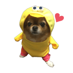 maronスタンプ(犬)