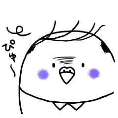 インコお父さん ハゲちゃったってよ