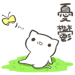 公園に住まう野良猫