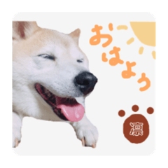 山田さん家の凛ちゃん　part.1