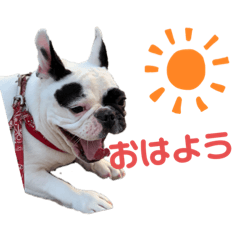 ビビアン ロビン