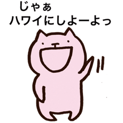 ねこたんの日常