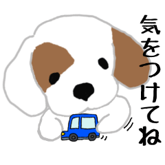 伝えたい★しろのスタンプ