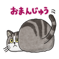 猫のすずもん 言葉はいらない気分