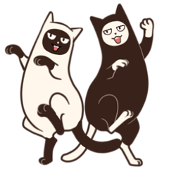 ねこのハイ＆ロー