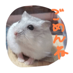 おかゆのすたんぷ