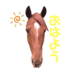 うまとたのしい毎日