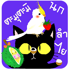 マカーム タムタミ（タイ語のスラング）