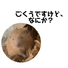 キンクマのごくう２