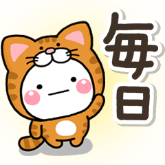 毎日便利♪大人のねこかぶりのしろまる