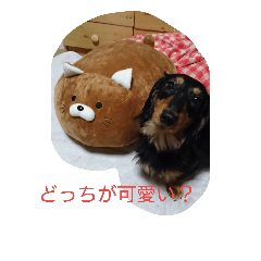 ダックスのさくぼん