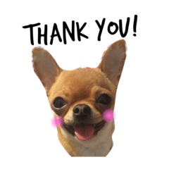 スムチのくじら